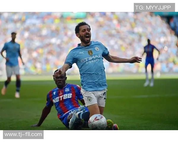 足总杯精彩对决曼城小胜里昂引发全场热烈反响